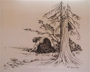 Image description is not available for OBJ-50-1003